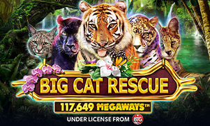 Hình ảnh Game Big Cat Rescue Megaways